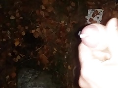 Alone in the bush