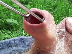 Outdoor foreskin - 3 of 10