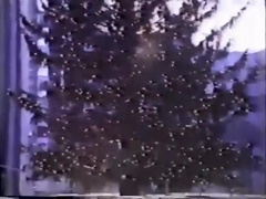 Naughty Vintage Sailors