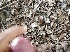 6'' hard cock