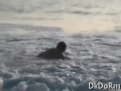 Sultry gay get their asses drilled at a wild party