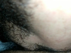 Urso gozando no novinho