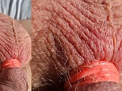 Thick, fat, hard banded cock comes without squirting during horny banding session