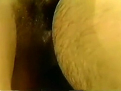 Prism - Smelly Cocks! Horny Cocks!! Big Cocks!!!