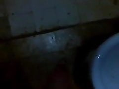 Paja cristian 2