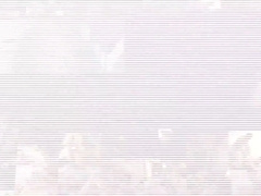 ASGMAX - Bear Judge Plows & Gets Pulverized By Jock Gangsters