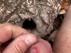 Banging a fuck hole in a tree