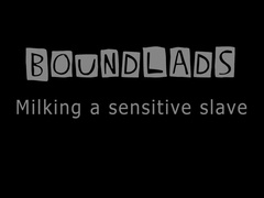 Bundlads-milking A Sensitive Sub