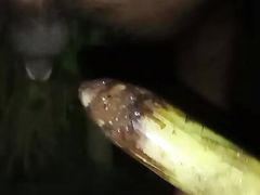 Desi viral sex video