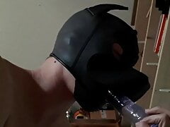 Puppy learns how to deepthroat