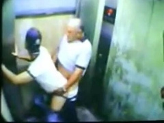 Parent Hairy man and his Young Hairy man Caught on Camera