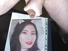 layla tribute