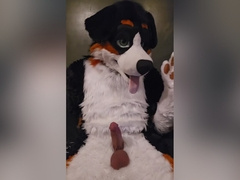 Elastrator Play With Angrybarks Good Boys Get Neutered!