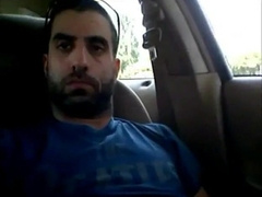 Osito peludo se divierte en el coche