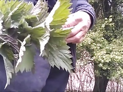 Hardcore nettling to orgasm