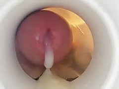 My Cum For Fags