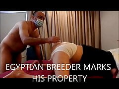 EGYPTIAN BREEDER MARKS HIS PROPERTY ZIBMUSSER - NEW