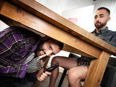 Working from home with two true fucking bears