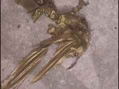 Narcissus in love with his own photo.