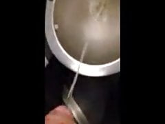 Piss in train