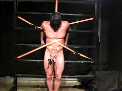 Exposed DILF is about to have his ass demolished through BDSM