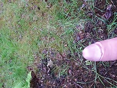 MOV 0093.mp4