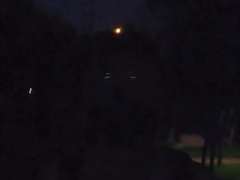 Puppy gets bare in the park and sploogs his spunk