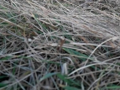 My winter self sucking in nature