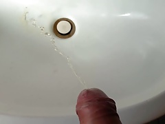 Peeing in a friends sink