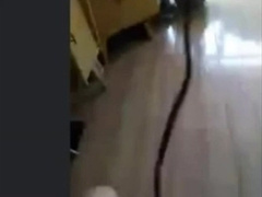 Chinese daddy shows off his big toy (no cum) 7