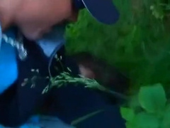 In Forest ( Dream )