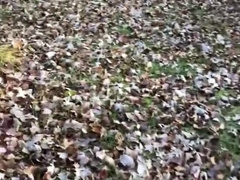 Solo Masculine Outdoor Urinating Compilation From My October Camping Trips 2022