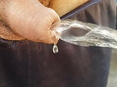 Micro penis public pee