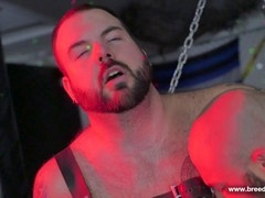 Atlas Grant and Aiden Storm (DW P2)