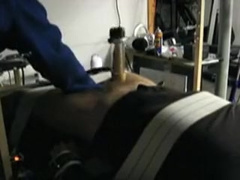 Venus milking machine 2