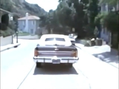 Drive He Said (1981) Short