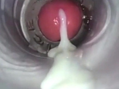 Ample Pop-Shots (Not Me)