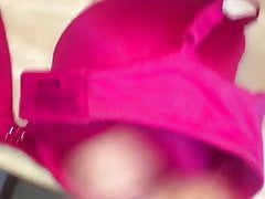 Cumming on my Wifes Pink Maidenform bra