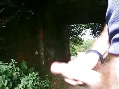 Wank beside the A34 south of Newbury