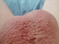 Big Cock Cums In Your Face