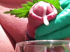 indoor stinging nettle with multiple cumshot
