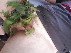 Jerking Off 2, Nettle foreplay