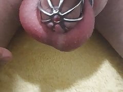 Slapping my balls in chastity
