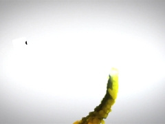 I fap at my sister in law-in-law's mansion.