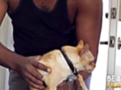 Interracial, gay solo, black gay