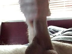 Hard and horny
