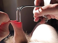 Sunshine foreskin - 1 of 8