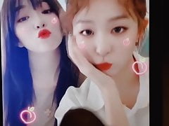 Irene and Seulgi Cum Tribute