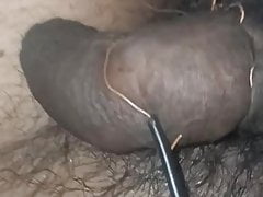 Indian needle play amateur