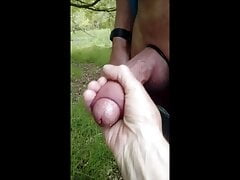 IN THE WOODS